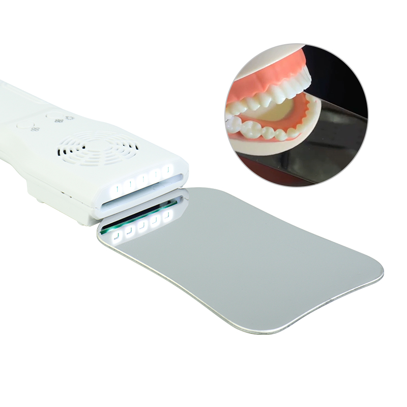 Set di Specchietti Dentali Ant - Lighting Gallery recensione e prezzo